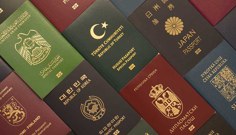 配偶者ビザと国籍等のサポートシステム