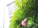 写真集「出入国在留管理局」2