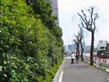 写真集「出入国在留管理局」2