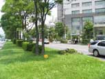 写真集「出入国在留管理局」2