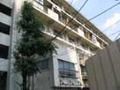 写真集「出入国在留管理局」2