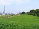 写真集「出入国在留管理局」2
